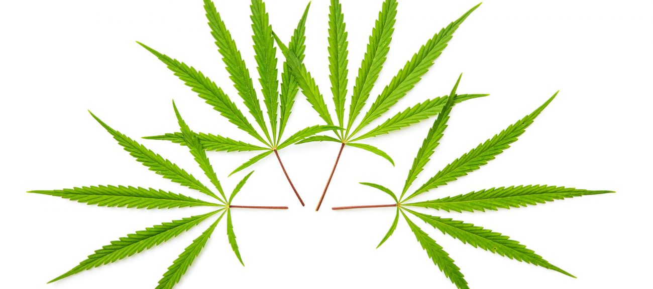 African Cannabis Seeds