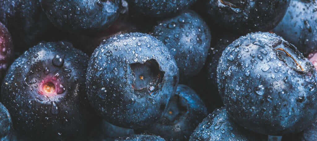Blueberries Offer Incredible Benefits
