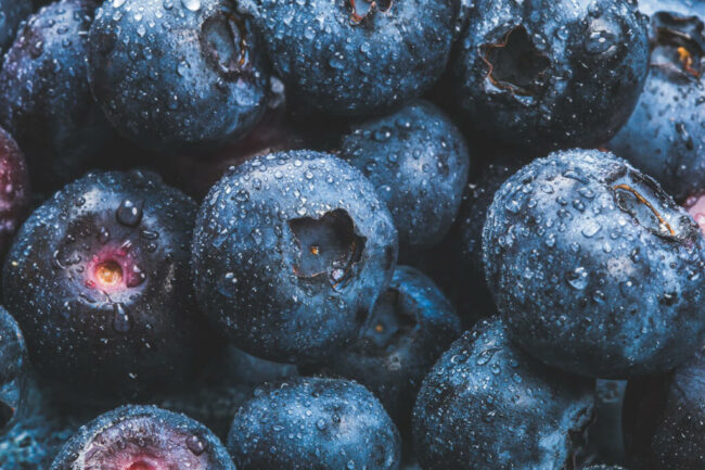 Blueberries Offer Incredible Benefits