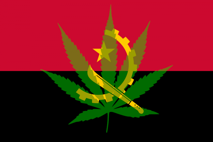 Angola Red Seeds (Roja)