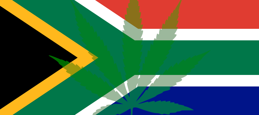 South Africa Cannabis